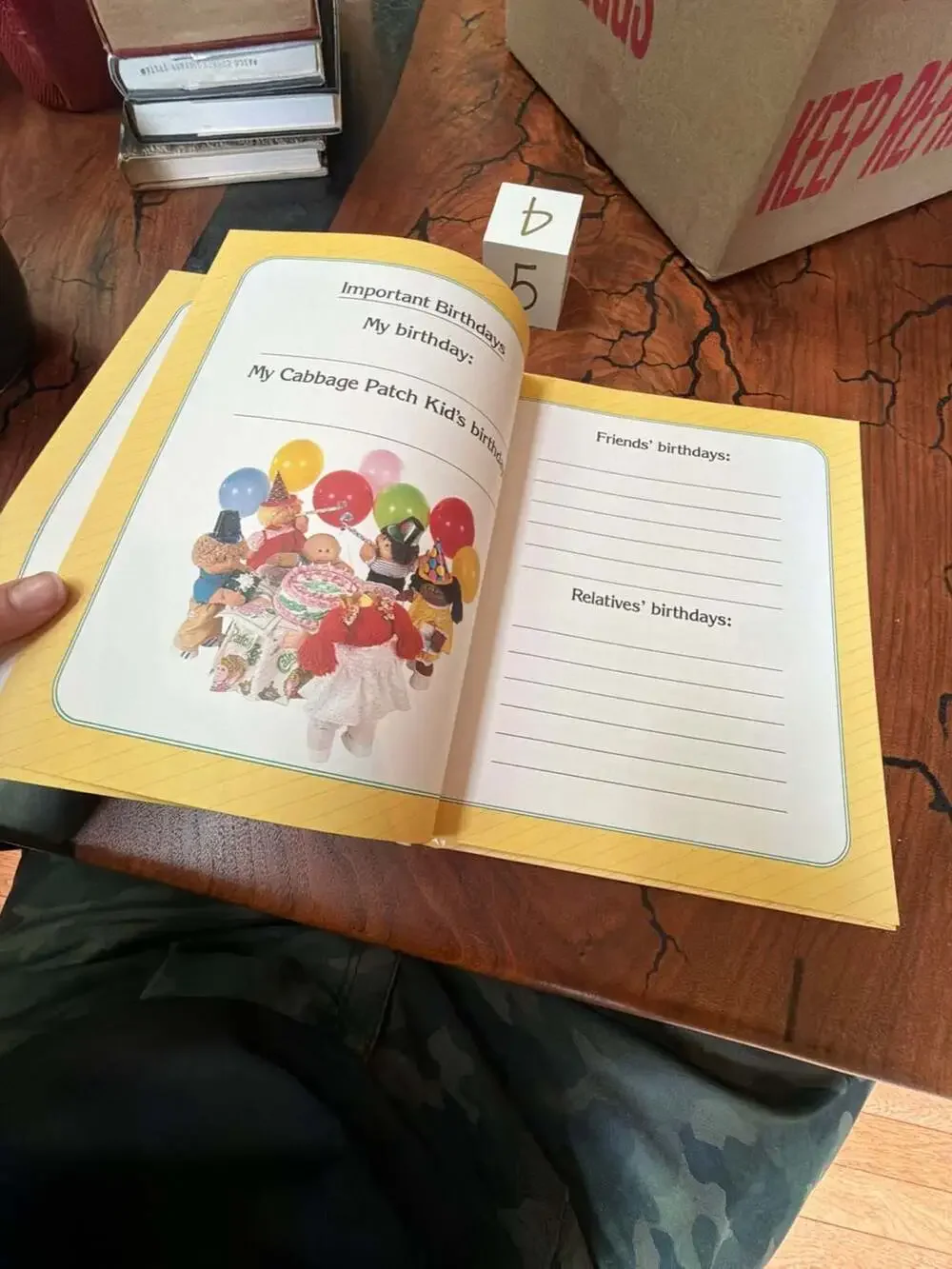 My Cabbage Patch Kid and Me Vintage Keepsake Journal (1984)